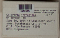 Image Associated With the Occurence